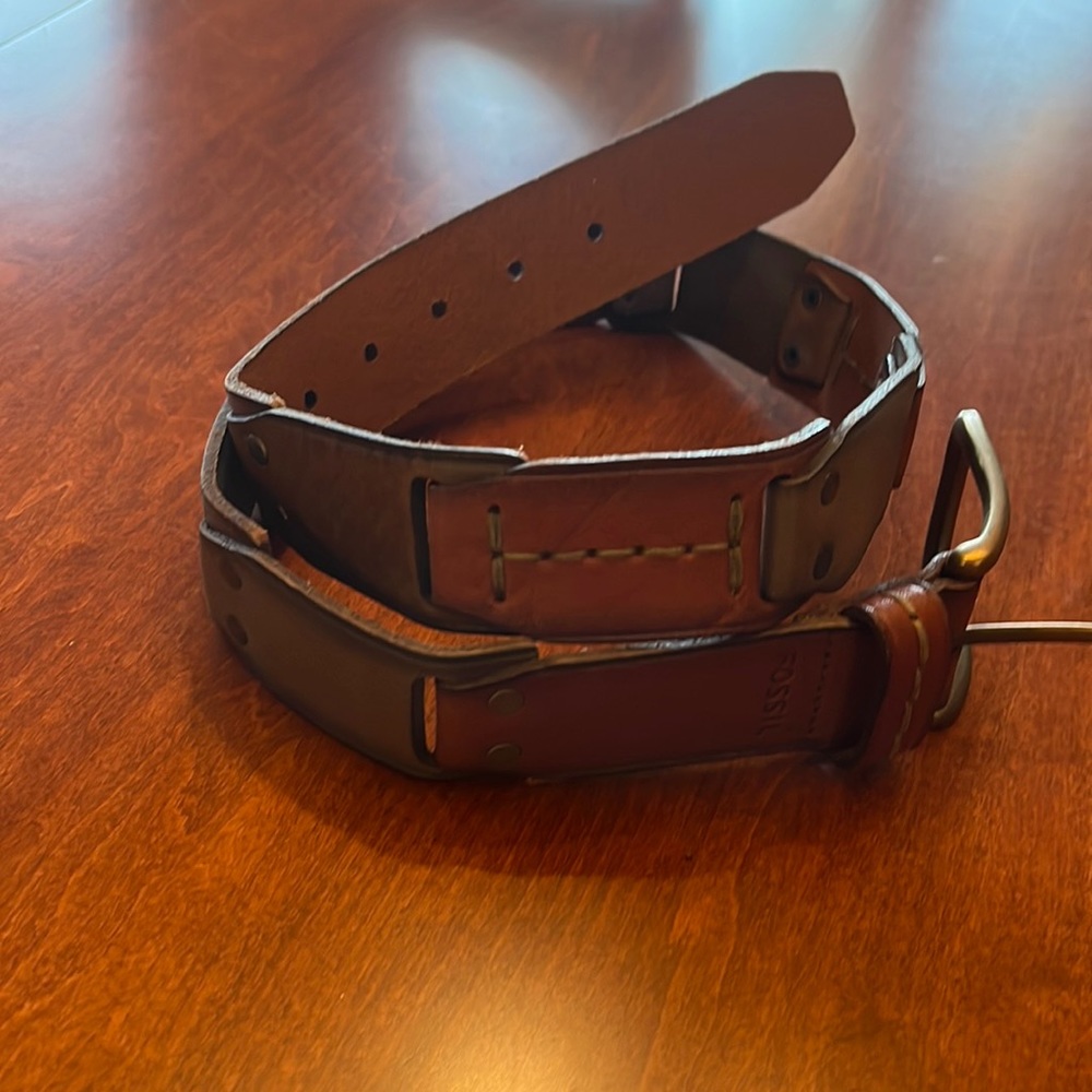 Fossil Belt
